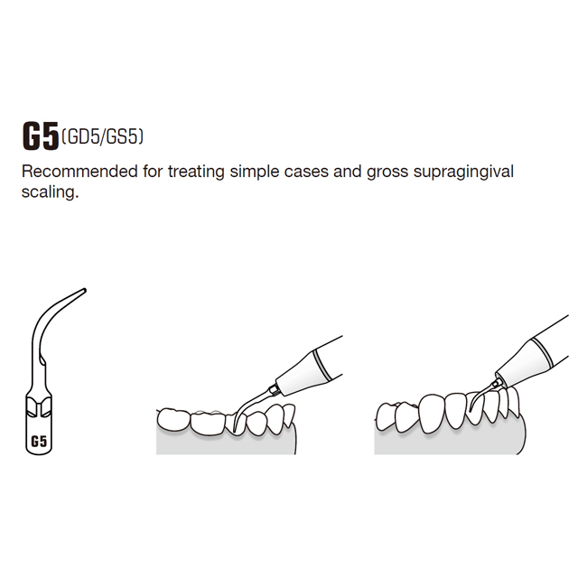 Scaling Tip G5 for EMS Woodpecker